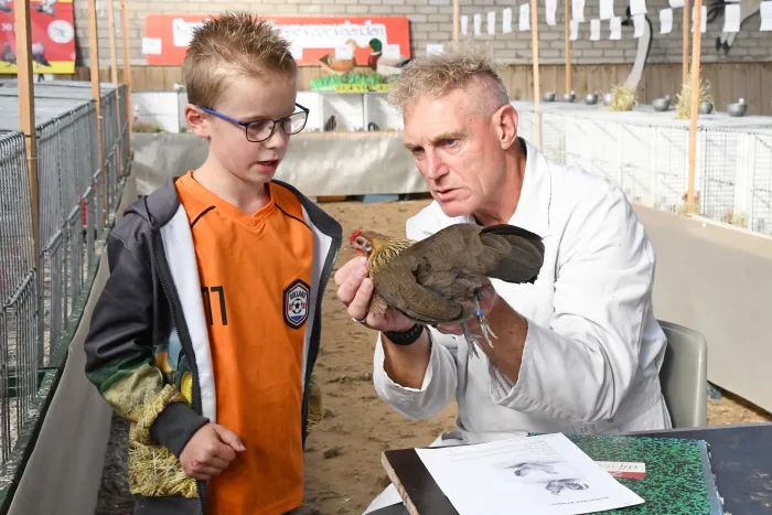 Puur Hollands thema Jeugdkleindierenshow in Laren