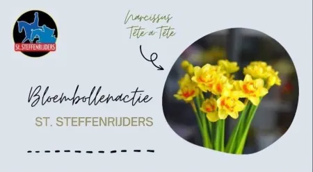 Bloembollenactie St. Steffenrijders 2026